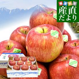 長野県産 JAあづみ 安曇野 シナノスイート 約3キロ （8玉から10玉） 送料無料 りんご 林檎 市場発送