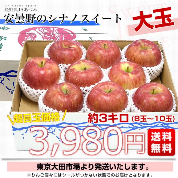 長野県産 JAあづみ 安曇野 シナノスイート 約3キロ （8玉から10玉） 送料無料 りんご 林檎 市場発送03