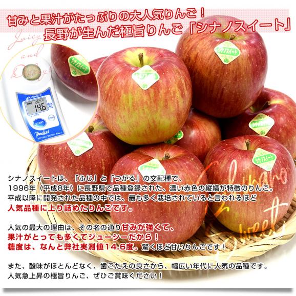 長野県産 JAあづみ 安曇野 シナノスイート 約3キロ （8玉から10玉） 送料無料 りんご 林檎 市場発送04