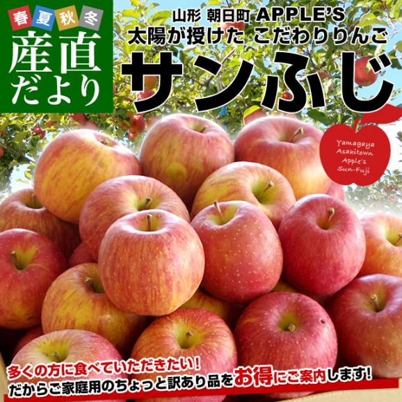 山形県より産地直送 山形朝日町APPLE’S サンふじりんご 9キロから10キロ 林檎 リンゴ 送料無料 御歳暮 お歳暮 ギフト02