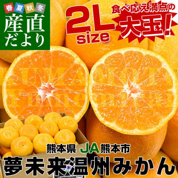 熊本県 JA熊本市 夢未来温州みかん 大玉2Lサイズ(手詰め21玉 熊本県 JA熊本市 夢未来温州みかん 大玉2Lサイズ(手詰め21玉