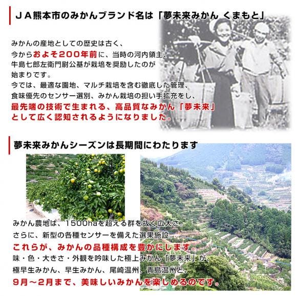 熊本県　JA熊本市　夢未来温州みかん　小玉SからSSサイズ（35玉から50玉前後）約3キロ　送料無料 ミカン 蜜柑 市場発送05