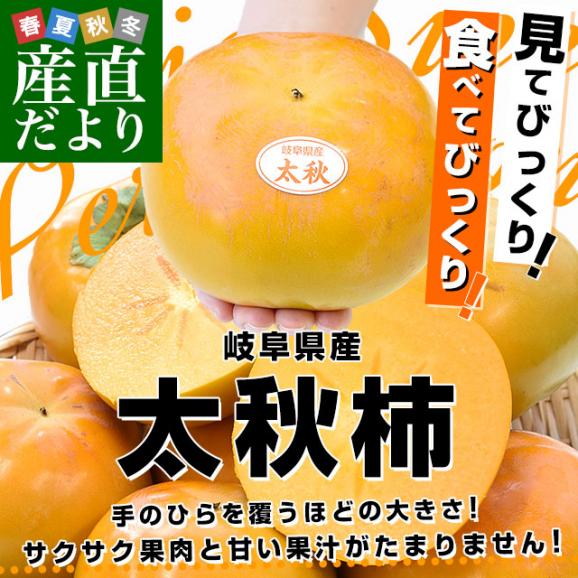 岐阜県 JAいび川 太秋柿(たいしゅうかき) A品3.5キロ前後(8玉から10玉入り) 送料無料 大玉柿 柿 かき 市場発送02
