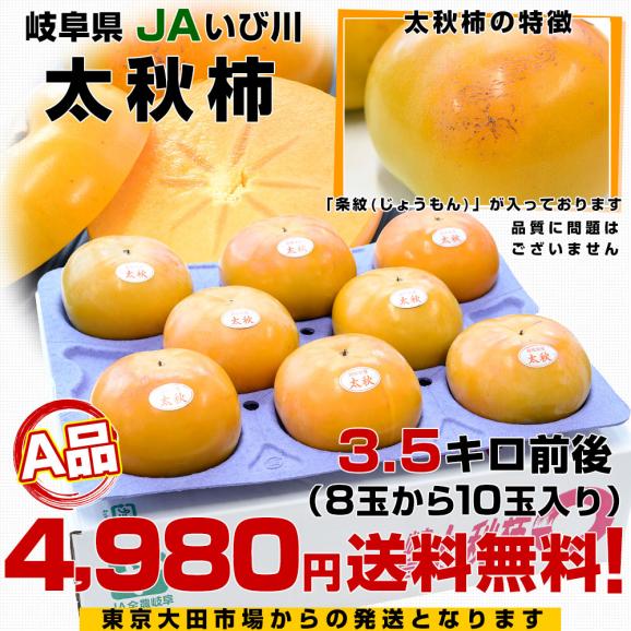 岐阜県 JAいび川 太秋柿(たいしゅうかき) A品3.5キロ前後(8玉から10玉入り) 送料無料 大玉柿 柿 かき 市場発送03