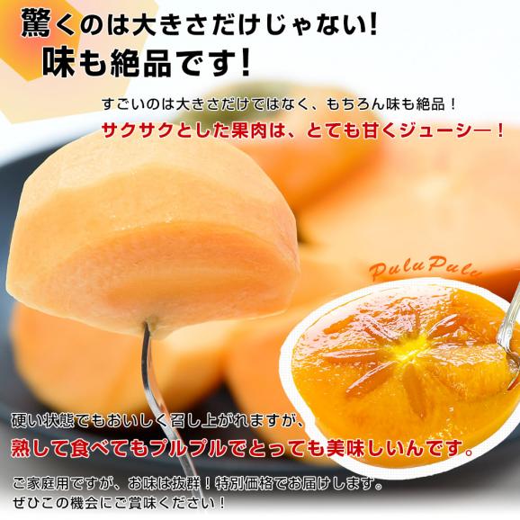 岐阜県 JAいび川 太秋柿(たいしゅうかき) A品3.5キロ前後(8玉から10玉入り) 送料無料 大玉柿 柿 かき 市場発送05