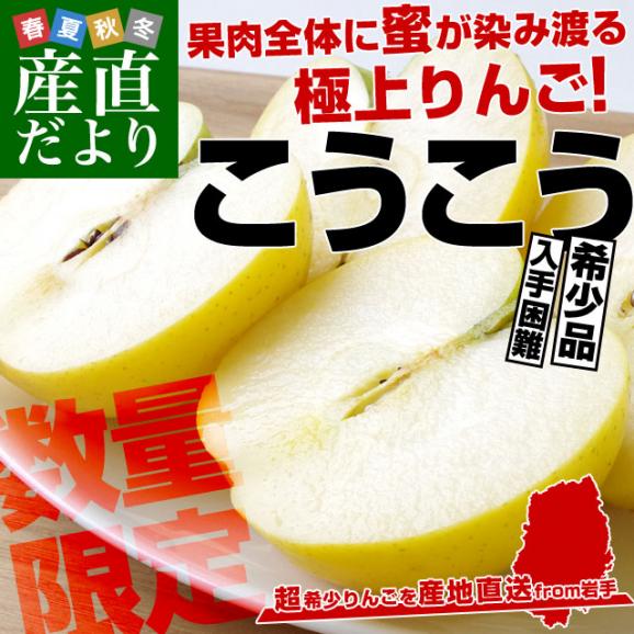 送料無料 岩手県より産地直送 JAいわて中央 こうこう 5キロ (14玉から20玉) 林檎 りんご リンゴ02