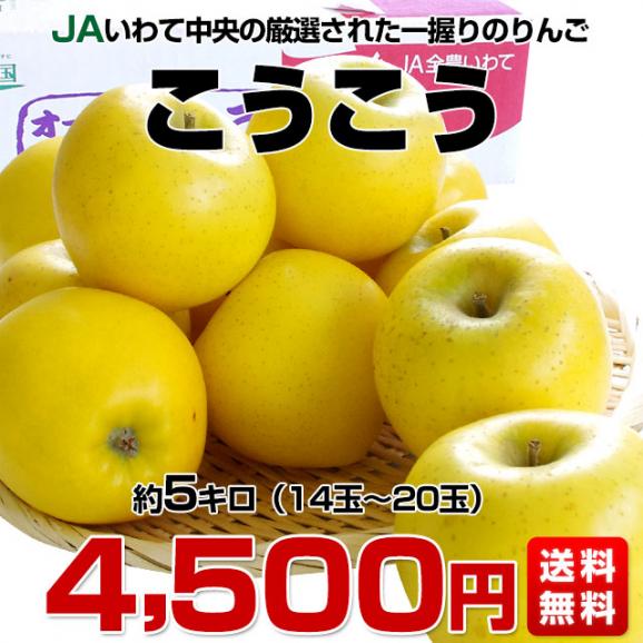 送料無料 岩手県より産地直送 JAいわて中央 こうこう 5キロ (14玉から20玉) 林檎 りんご リンゴ03