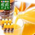 愛媛県産 JAえひめ中央 紅まどんな(R)入りジュース 1箱 (1000ml×6本) 送料無料 みかん 蜜柑 ミカン 市場発送