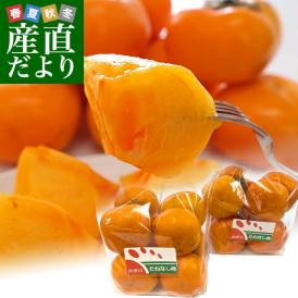和歌山県産　JA紀の里 たねなし柿 LからMサイズ 約2.8キロ（7玉から8玉×2袋）送料無料 カキ かき 柿 市場発送