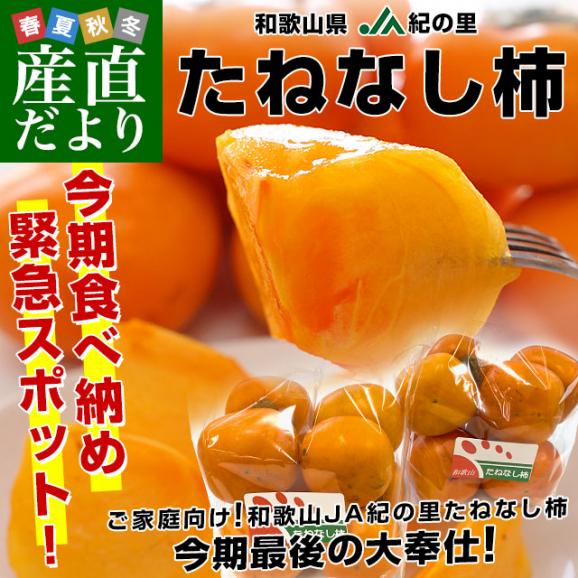 和歌山県産　JA紀の里 たねなし柿 LからMサイズ 約2.8キロ（7玉から8玉×2袋）送料無料 カキ かき 柿 市場発送02