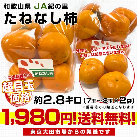 和歌山県産　JA紀の里 たねなし柿 LからMサイズ 約2.8キロ（7玉から8玉×2袋）送料無料 カキ かき 柿 市場発送03
