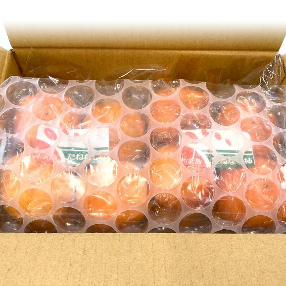 和歌山県産　JA紀の里 たねなし柿 LからMサイズ 約2.8キロ（7玉から8玉×2袋）送料無料 カキ かき 柿 市場発送06