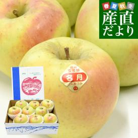 長野県産 JAあづみ 安曇野 ぐんま名月(めいげつ) 約3キロ （8玉から10玉） 送料無料 りんご 林檎 市場発送