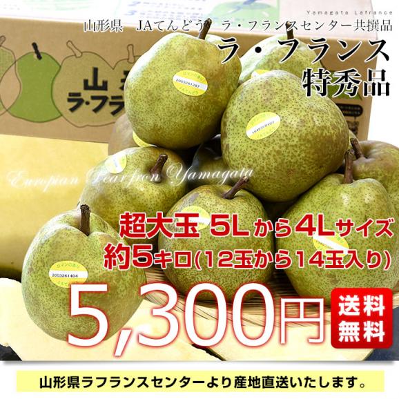 山形より産地直送 ラ・フランスセンター共撰品 ラ・フランス 特秀品 約5キロ(12玉から14玉入り) 4Lから5Lサイズ 送料無料 大玉 洋なし 洋梨03
