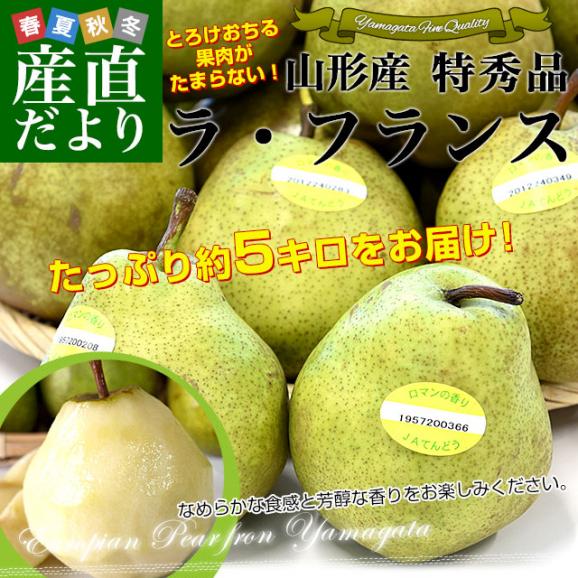 山形より産地直送 ラ・フランスセンター共撰品 ラ・フランス 特秀品 約5キロ(16玉から20玉入り) 3LからLサイズ 送料無料 洋なし 洋梨02