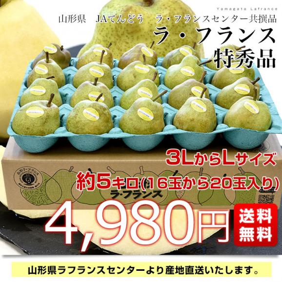 山形より産地直送 ラ・フランスセンター共撰品 ラ・フランス 特秀品 約5キロ(16玉から20玉入り) 3LからLサイズ 送料無料 洋なし 洋梨03