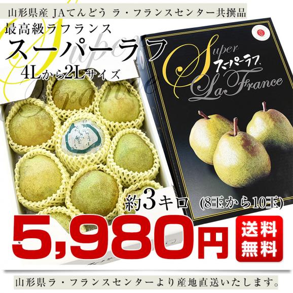 山形県から産地直送 JAてんどう スーパーラフ 約3キロ 4Lから2Lサイズ(8玉から10玉入り) 送料無料 洋梨 ラフランス ギフト03