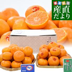 真穴みかん＆味まる！超絶品みかん2種を豪華詰め合わせ！