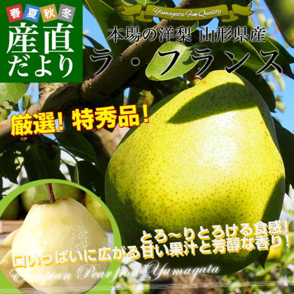 山形県産 ラ・フランス 約1.8キロ (6玉) 特秀品 送料無料 洋なし 洋梨 ラフランス 市場発送02