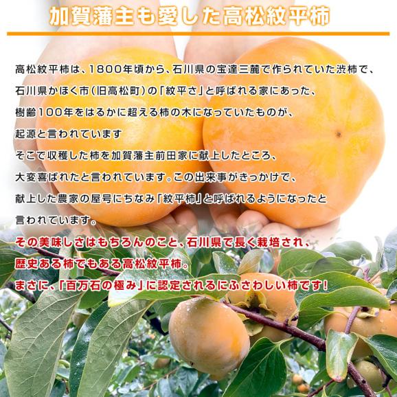石川県産 JA石川かほく 高松紋平柿（もんぺい柿） 秀品 約3.75キロ （10玉から16玉）送料無料 かき カキ 柿 市場発送06