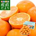 熊本県 JAたまな ブランドみかん 最高等級：草枕 約4キロ LからＳサイズ 送料無料 みかん 蜜柑 市場発送 お歳暮 ギフト