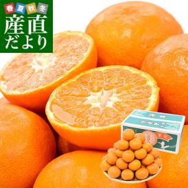 熊本県 JAたまな ブランドみかん 最高等級：草枕 約4キロ MからＳサイズ 送料無料 みかん 蜜柑 市場発送