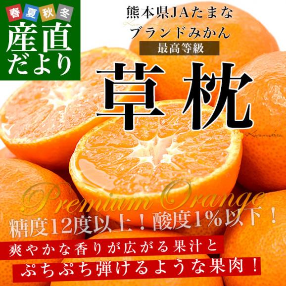 熊本県 JAたまな ブランドみかん 最高等級：草枕 約4キロ LからＳサイズ 送料無料 みかん 蜜柑 市場発送 お歳暮 ギフト02