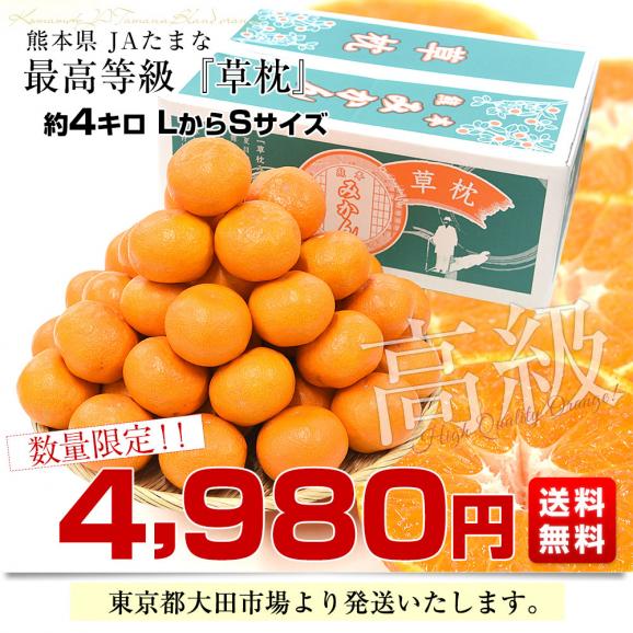 熊本県 JAたまな ブランドみかん 最高等級：草枕 約4キロ LからＳサイズ 送料無料 みかん 蜜柑 市場発送 お歳暮 ギフト03