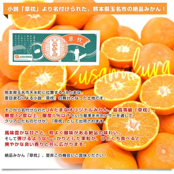 熊本県 JAたまな ブランドみかん 最高等級：草枕 約4キロ LからＳサイズ 送料無料 みかん 蜜柑 市場発送 お歳暮 ギフト04