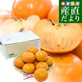 福岡県 JAにじ 富有柿 優品以上 約2.5キロ LからMサイズ （11玉から12玉） 送料無料 かき カキ 甘柿