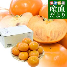 福岡県 JAにじ 富有柿 優品以上 約2.5キロ LからMサイズ （11玉から12玉） 送料無料 かき カキ 甘柿
