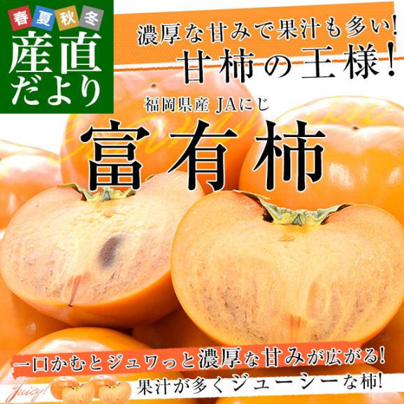 福岡県 JAにじ 富有柿 優品以上 約2.5キロ LからMサイズ （11玉から12玉） 送料無料 かき カキ 甘柿02