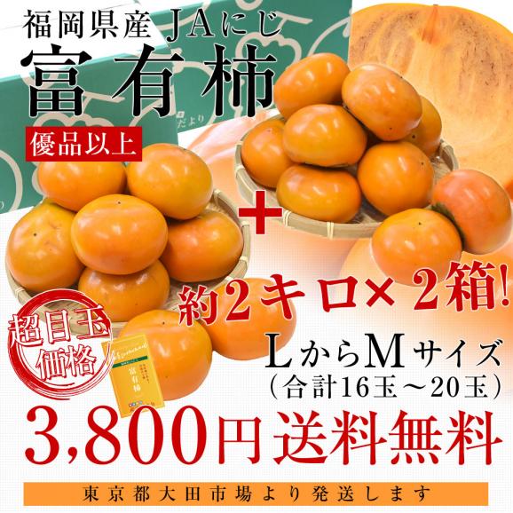 福岡県 JAにじ 富有柿 優品以上 LからMサイズ 約2キロ×2箱(合計16玉から20玉) 送料無料 かき カキ 甘柿03