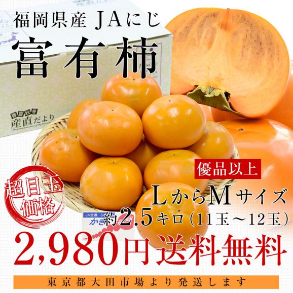 福岡県 JAにじ 富有柿 優品以上 約2.5キロ LからMサイズ （11玉から12玉） 送料無料 かき カキ 甘柿03