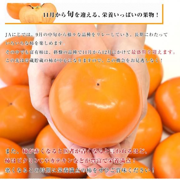 福岡県 JAにじ 富有柿 優品以上 約2.5キロ LからMサイズ （11玉から12玉） 送料無料 かき カキ 甘柿05