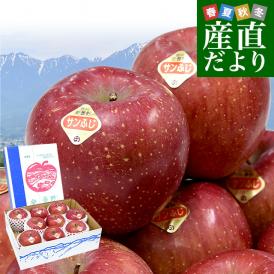 長野県産 JAあづみ 安曇野 サンふじ 約3キロ （8玉から10玉） 送料無料 りんご 林檎 市場発送