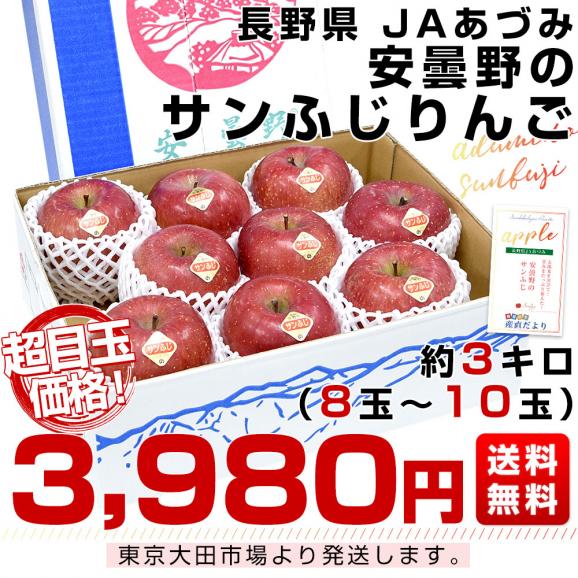 長野県産 JAあづみ 安曇野 サンふじ 約3キロ （8玉から10玉） 送料無料 りんご 林檎 市場発送03