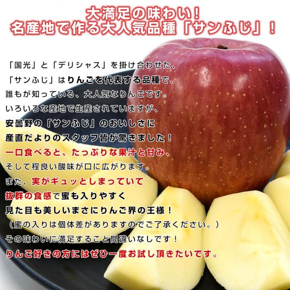 長野県産 JAあづみ 安曇野 サンふじ 約3キロ （8玉から10玉） 送料無料 りんご 林檎 市場発送04