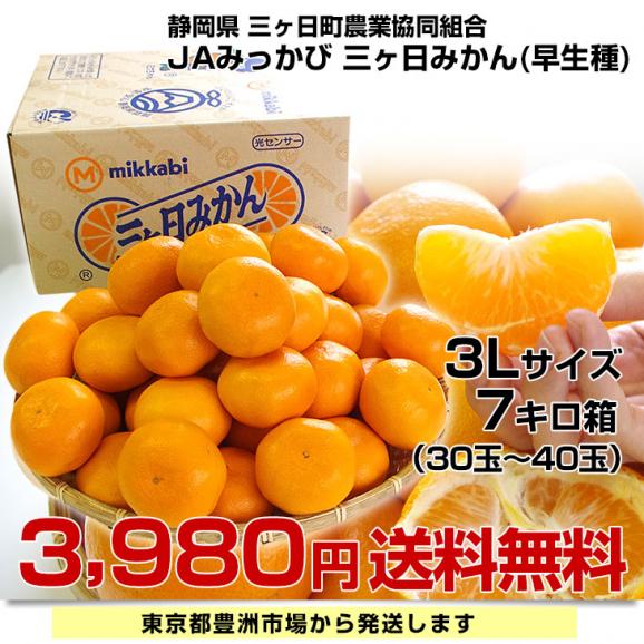 静岡県産JAみっかび 三ケ日みかん (早生品種) ３Lサイズ 7キロ (30玉から40玉）送料無料 三ヶ日 みつかび ミカン 温州みかん03