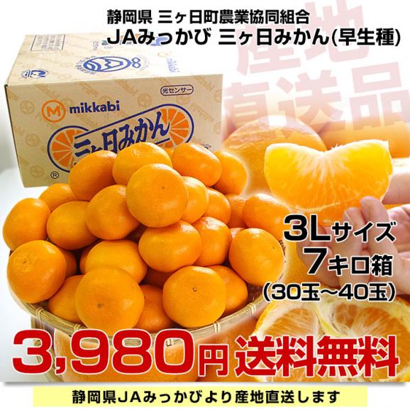 静岡県より産地直送 JAみっかび 三ケ日みかん (早生品種)  ３Lサイズ 7キロ (30玉から40玉）送料無料 三ヶ日 みつかび ミカン 温州みかん03