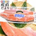 天然紅鮭フィレ（塩紅鮭）1.3キロ前後 送料無料 紅鮭 鮭 ベニザケ シャケ サケ フィーレ 冬ギフト 御歳暮 お歳暮　