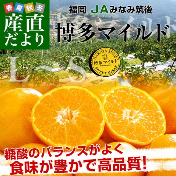 福岡県産JAみなみ筑後 博多マイルド LからSサイズ 約4キロ（30玉から50玉前後）送料無料 蜜柑 みかん お歳暮 御歳暮02