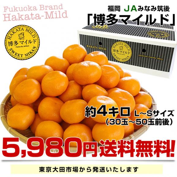 福岡県産JAみなみ筑後 博多マイルド LからSサイズ 約4キロ（30玉から50玉前後）送料無料 蜜柑 みかん お歳暮 御歳暮03