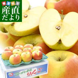 青森県より産地直送 JAつがる弘前 メジャー ぐんま名月 約3キロ（8玉から11玉）送料無料 りんご リンゴ 林檎