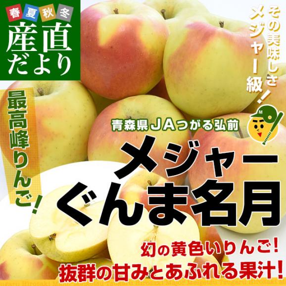 青森県より産地直送 JAつがる弘前 メジャー ぐんま名月 約3キロ（8玉から11玉）送料無料 りんご リンゴ 林檎02