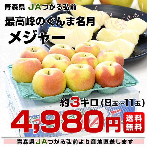青森県より産地直送 JAつがる弘前 メジャー ぐんま名月 約3キロ（8玉から11玉）送料無料 りんご リンゴ 林檎03