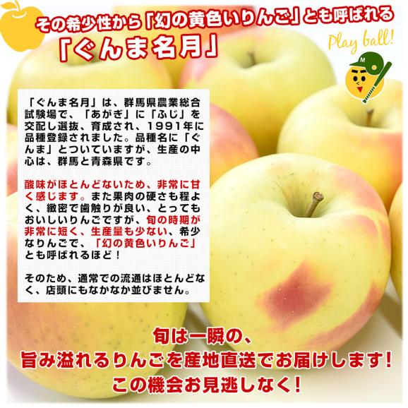 青森県より産地直送 JAつがる弘前 メジャー ぐんま名月 約3キロ（8玉から11玉）送料無料 りんご リンゴ 林檎04