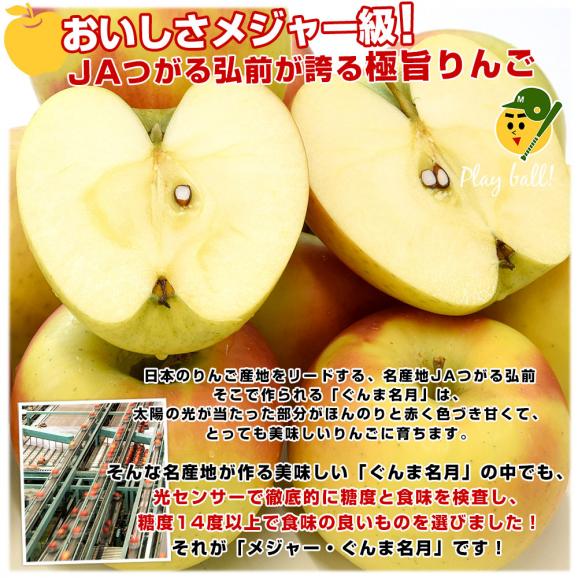 青森県より産地直送 JAつがる弘前 メジャー ぐんま名月 約3キロ（8玉から11玉）送料無料 りんご リンゴ 林檎05