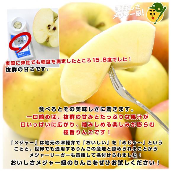 青森県より産地直送 JAつがる弘前 メジャー ぐんま名月 約3キロ（8玉から11玉）送料無料 りんご リンゴ 林檎06