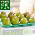 山形産 ラ・フランス 約5キロ　秀品大玉（12玉から16玉）送料無料　洋なし 洋梨 洋ナシ ラフランス 市場発送 